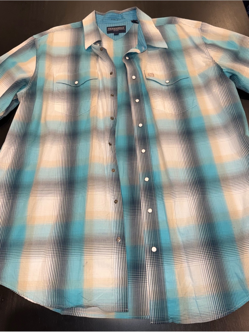 Panhandle Teal & Cream Plaid Long-Sleeve Casual Button-Down Shirt